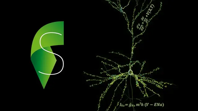 Simulation Neuroscience