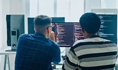Software Developer
