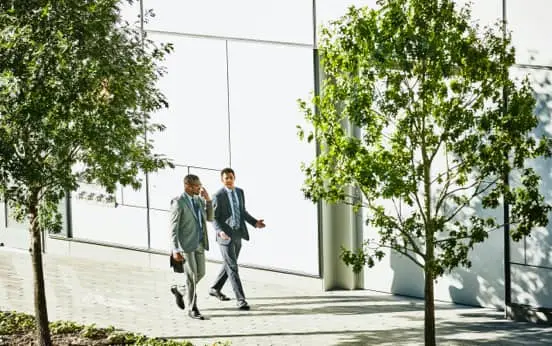 Leading Sustainable Corporations Programme