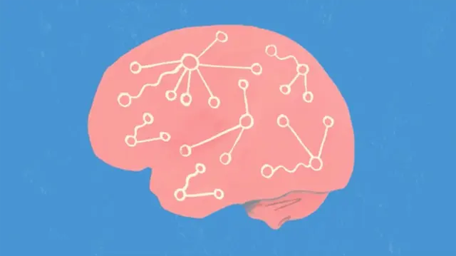 Fundamentals of Neuroscience, Part 3: The Brain
