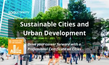 Sustainable Cities and Urban Development